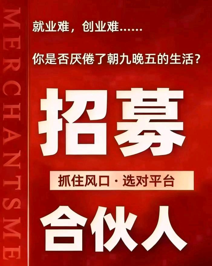 冯女士找合伙人