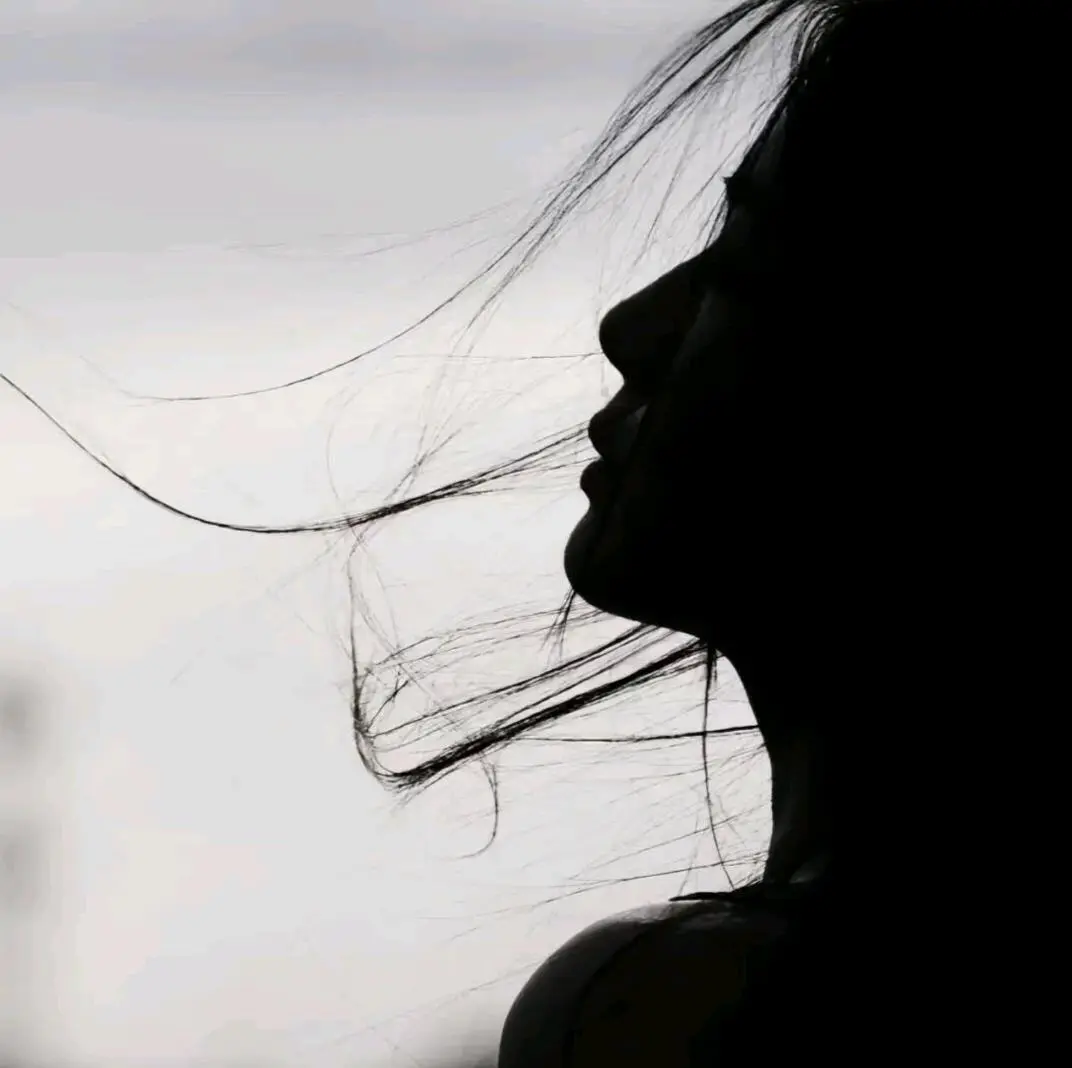 丰女士