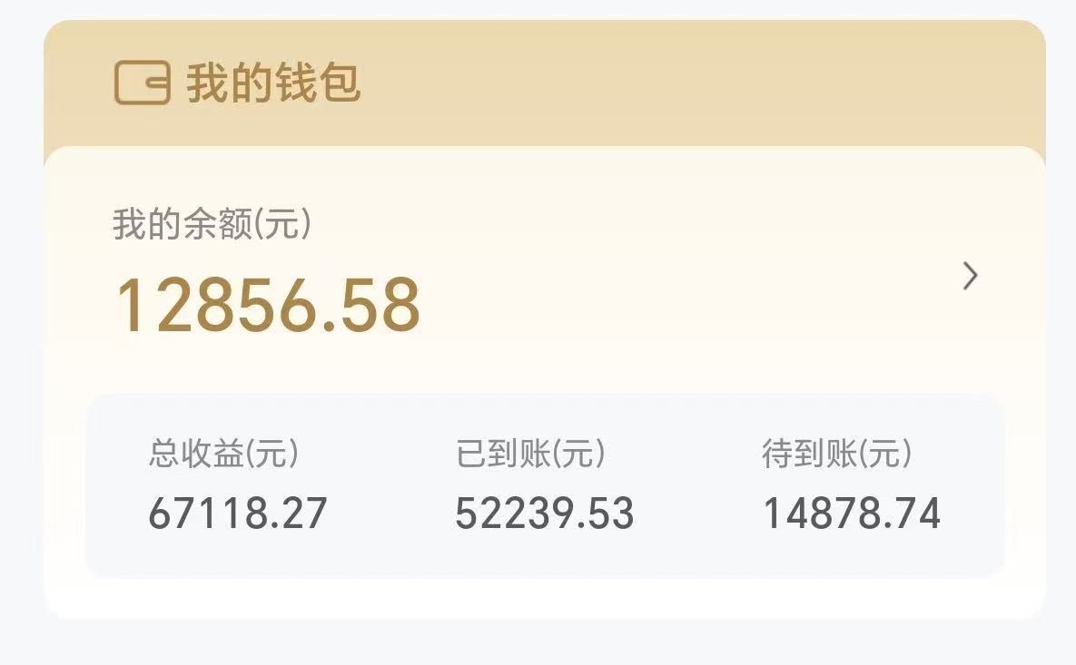 蔡浩文找合伙人10w推广团队   可接其他好项目