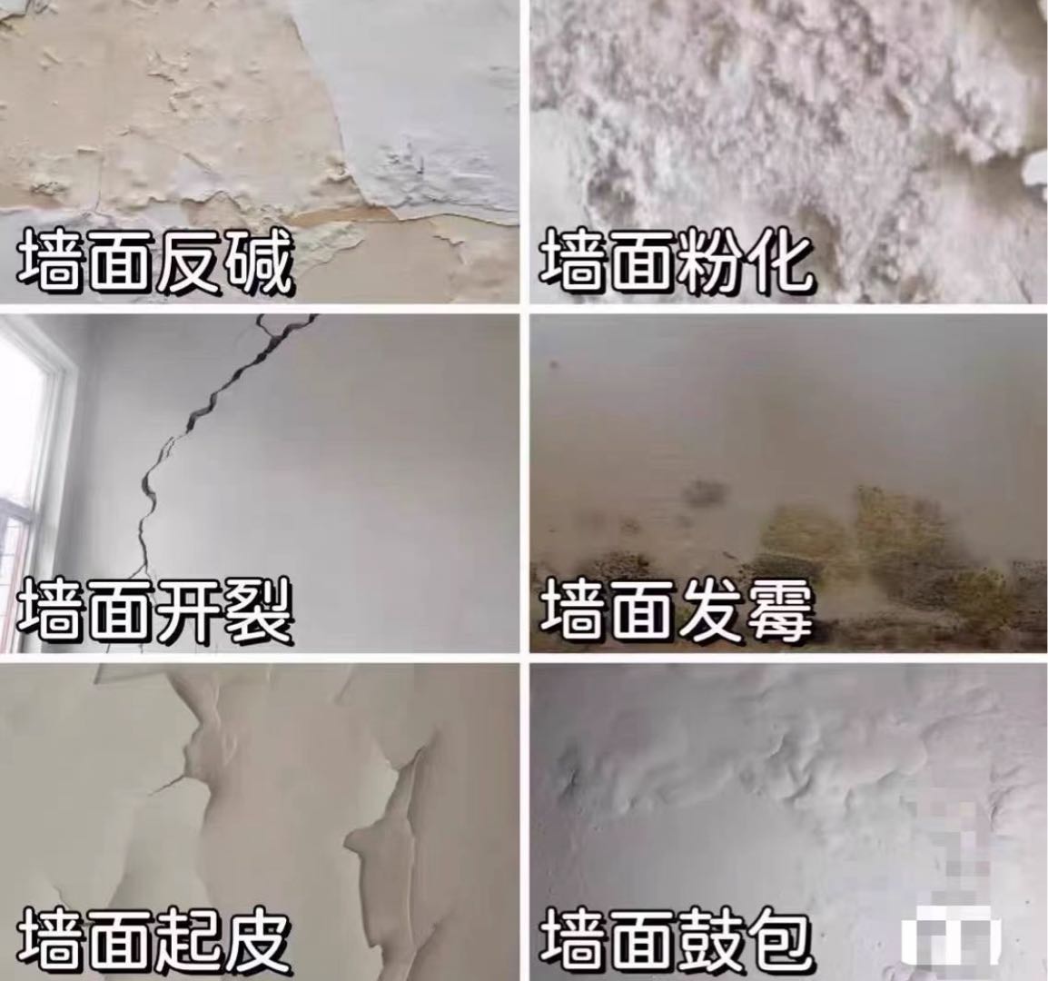 林志怡其他供需