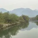 姚先生