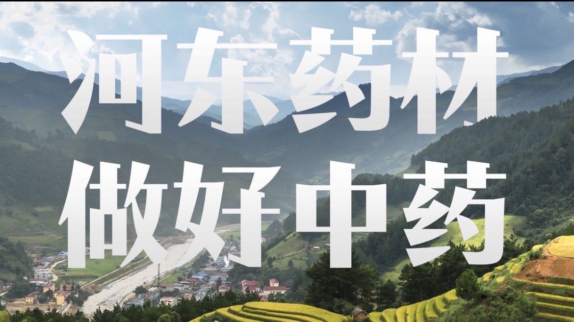 闫腾找合伙人北方中药材种植技术推广回收