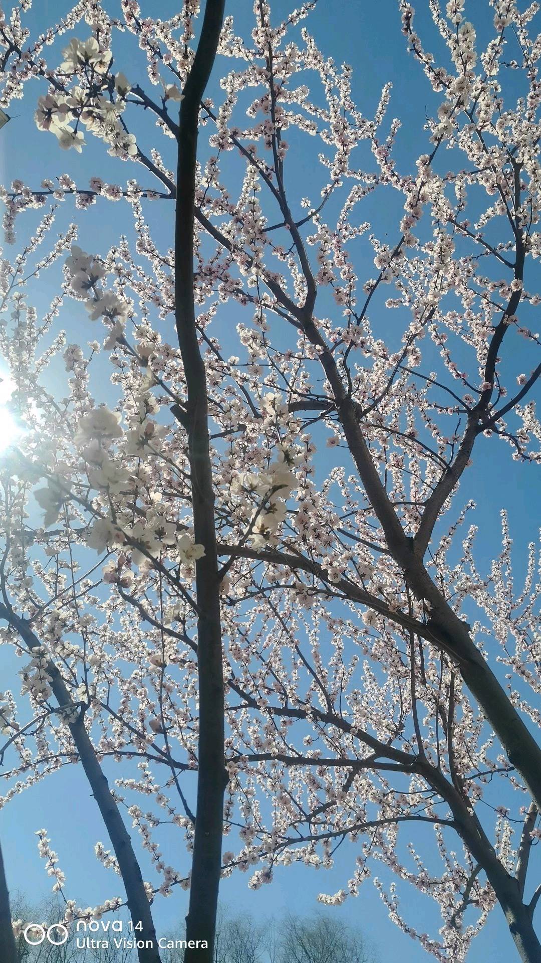 王伟品牌货源建筑外墙材料合作共赢