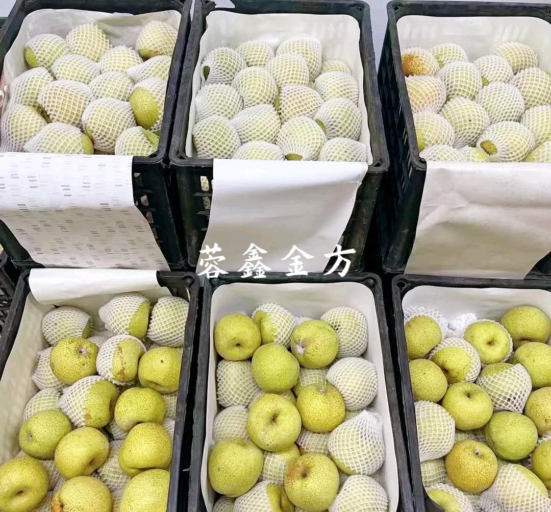 李诗怡地推项目纯梨膏地推拉新
