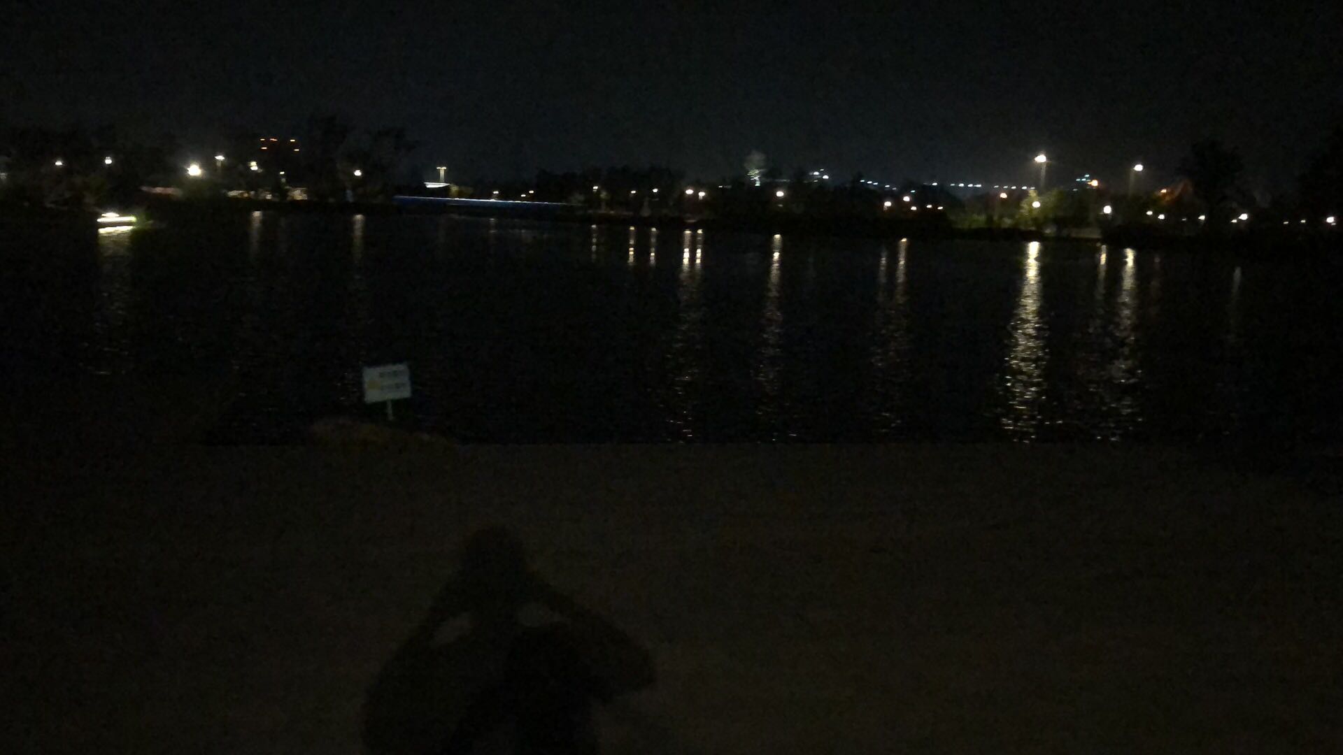 王先生