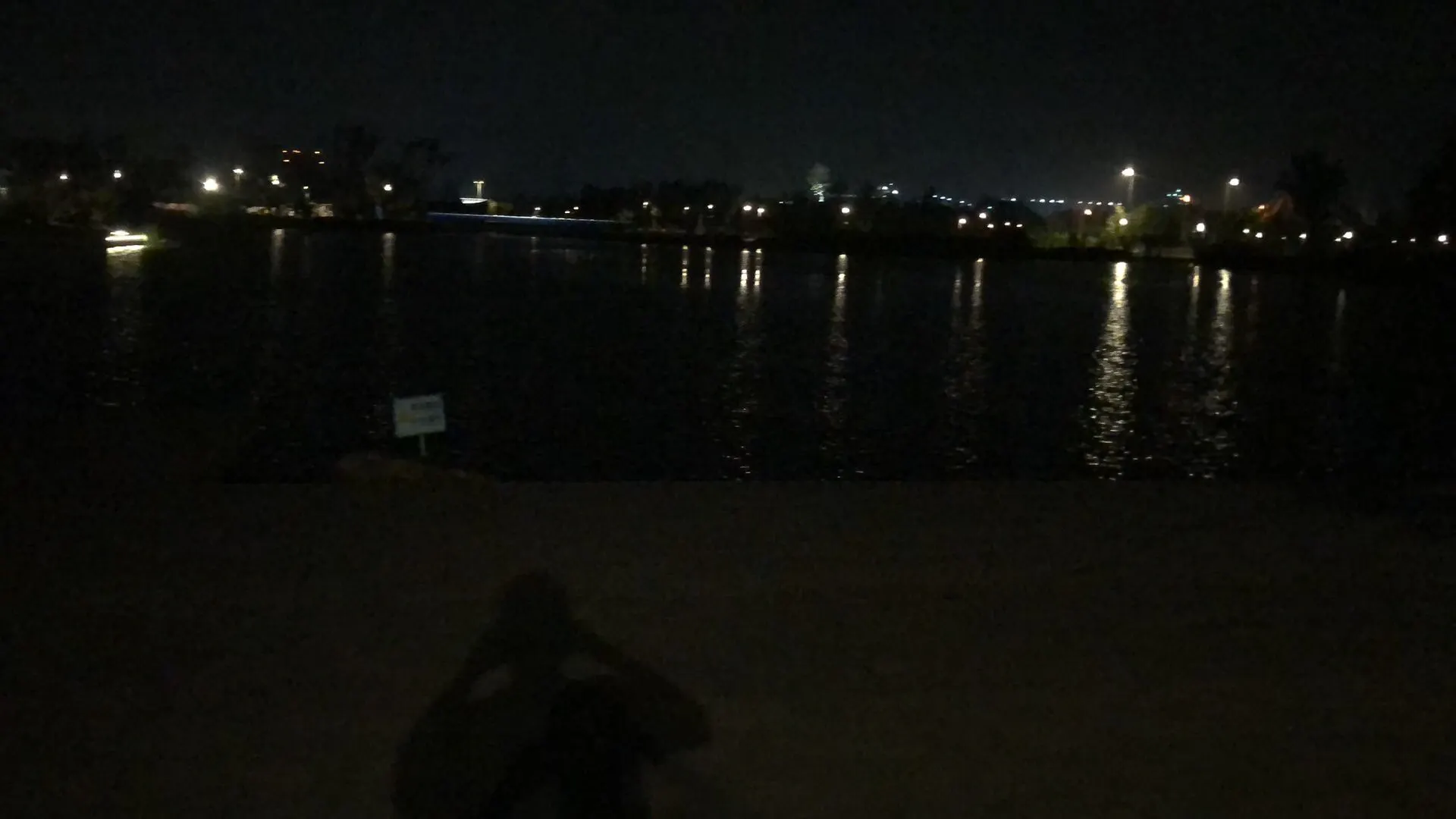 王先生