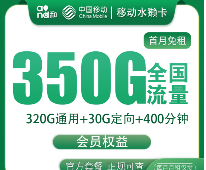 王先生大流量卡100-300/单