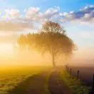 u客直谈实名认证刘修合