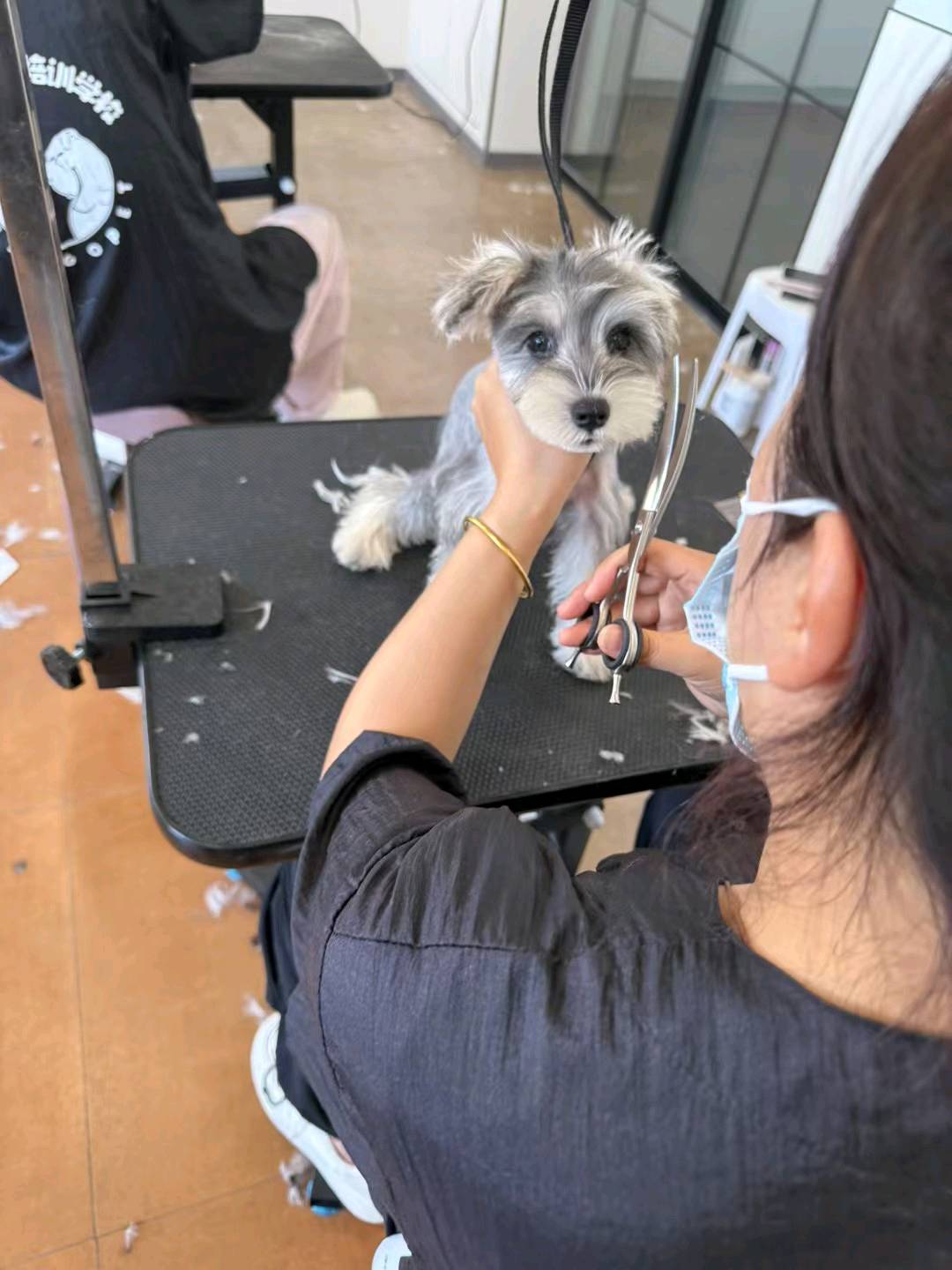 朱佳园找合伙人宠物美容造型培训学校