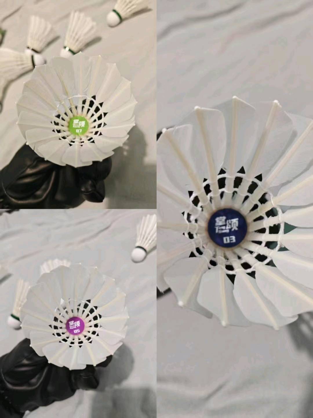 杨先生品牌货源