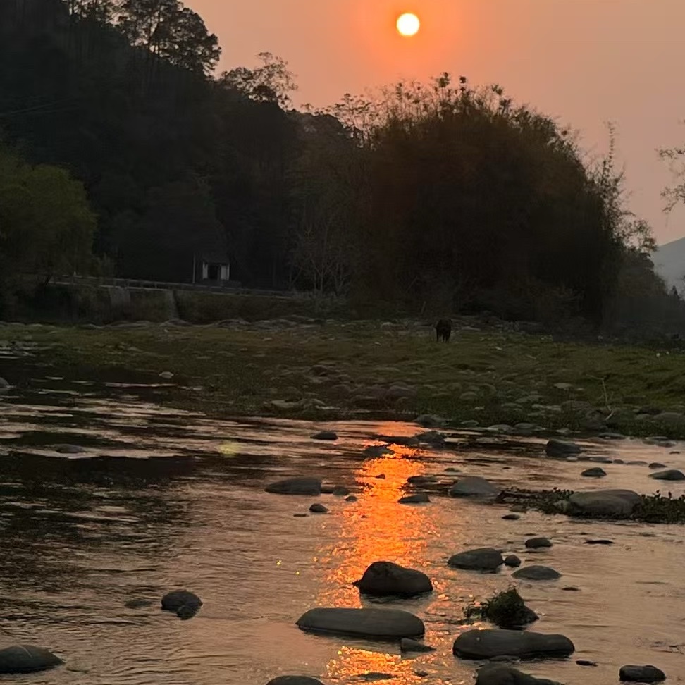 毕振安