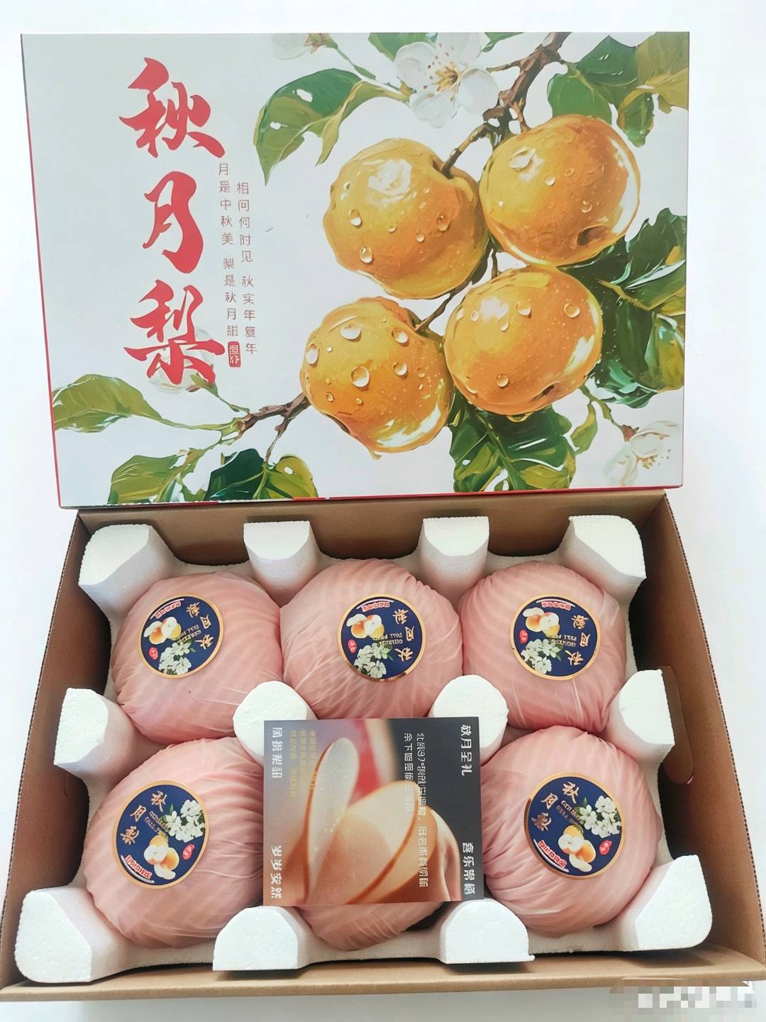 鞠先生品牌货源