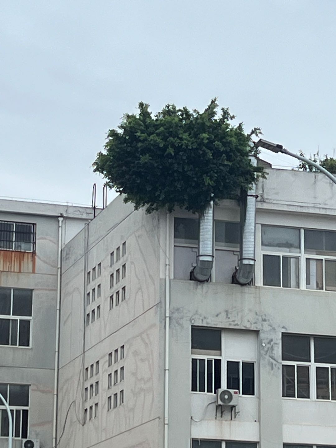 周克勇其他供需微信小店无货源轻资产项目 一件代发模式 纯自然流无需投流直播