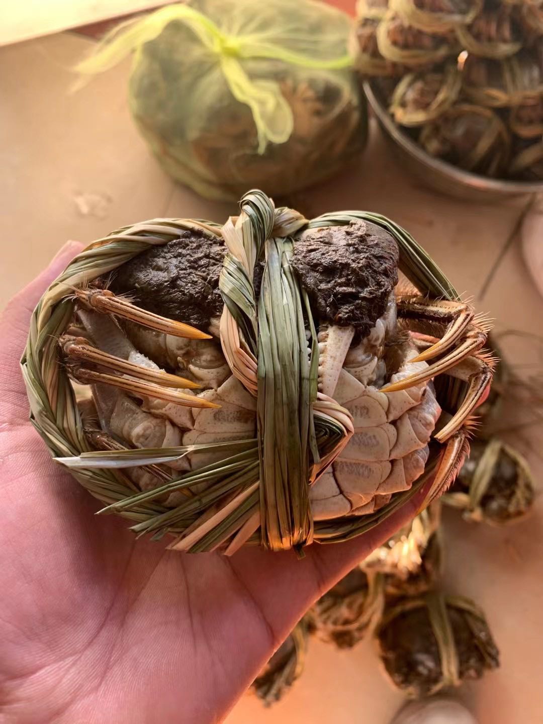 周先生蟹蟹琳红膏大闸蟹  阳澄湖大闸蟹货源地