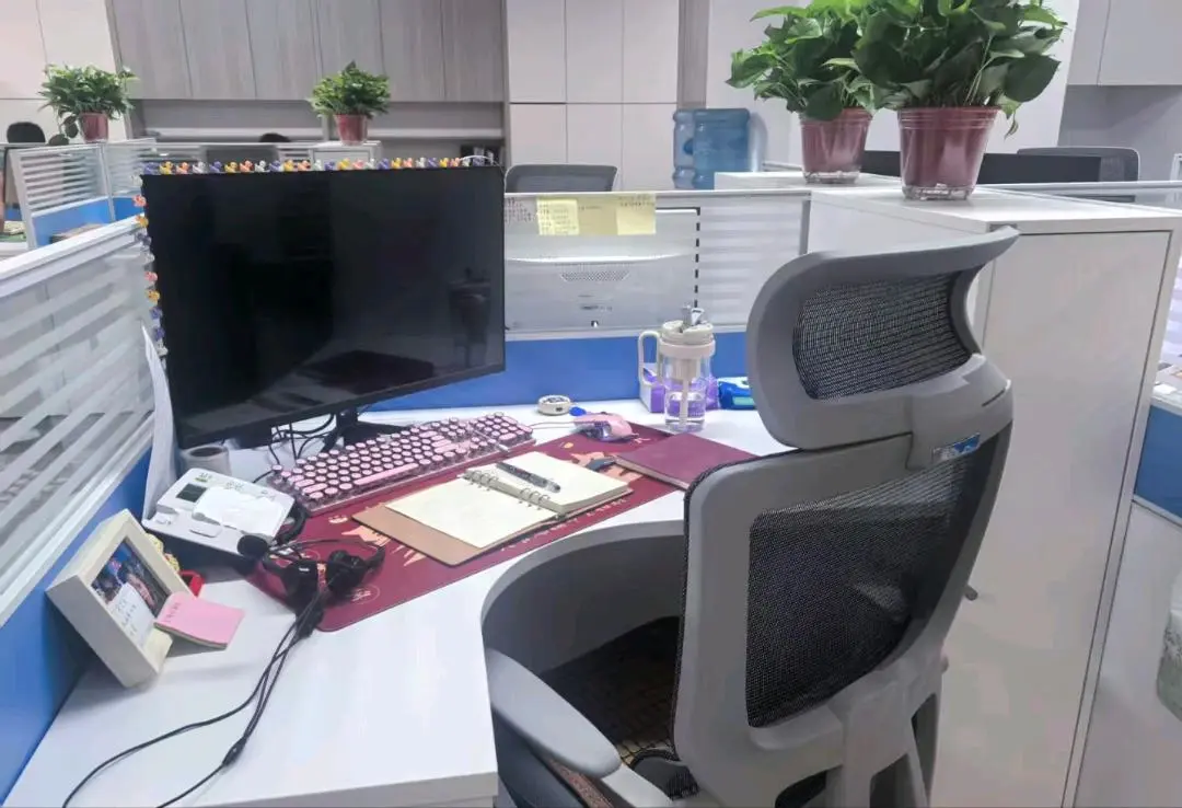 王先生找合伙人全新上线打米福利游戏,收益当天可见,收益当日体!