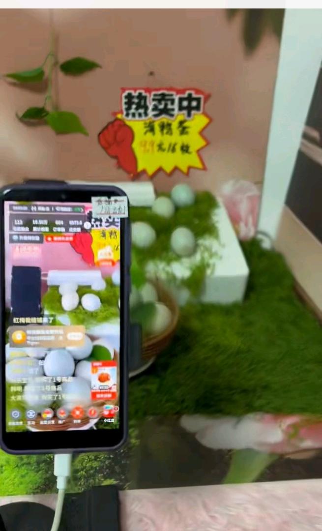 李女士其他供需AI直播带货新机遇，无需出镜在家可做