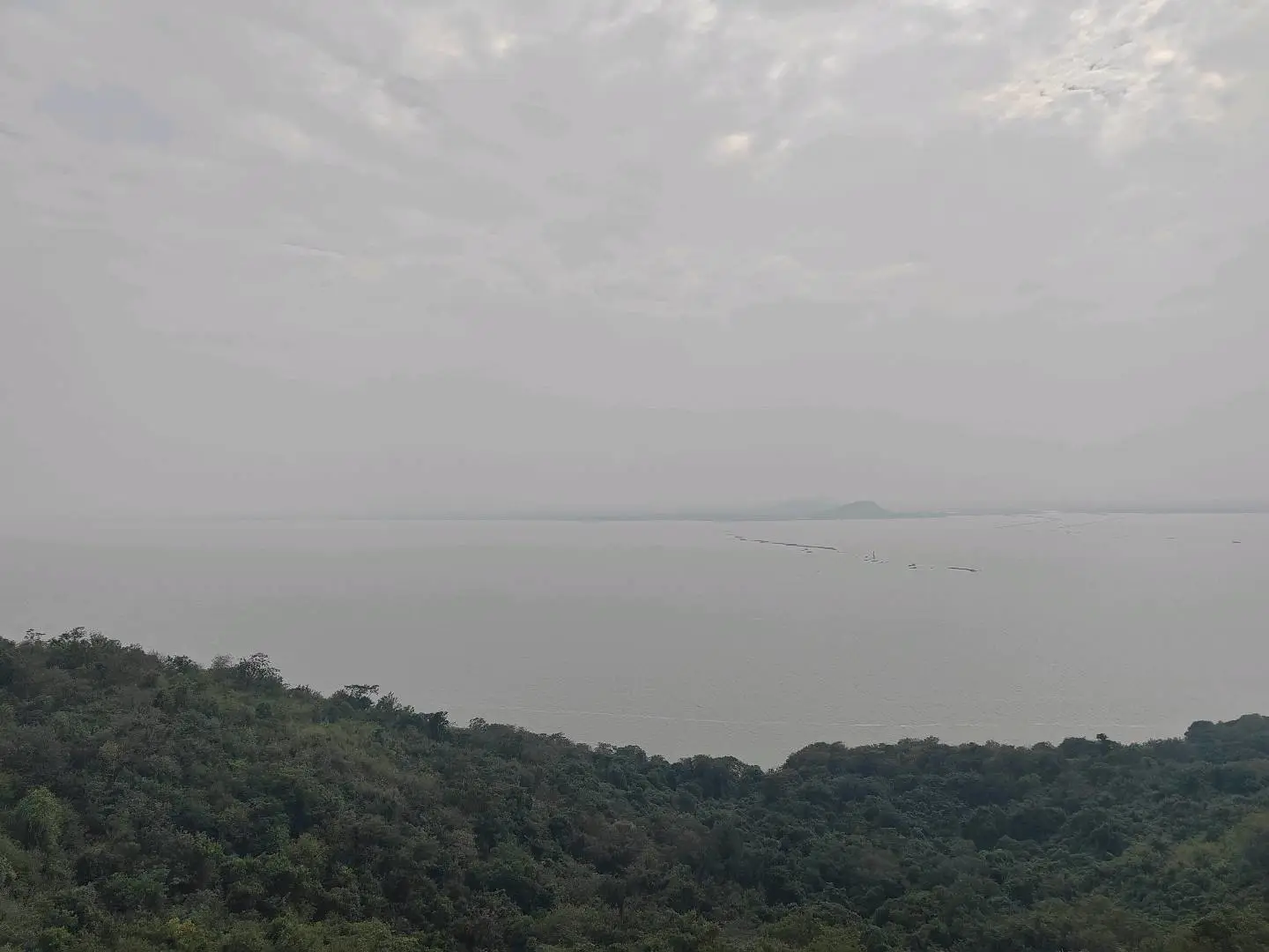 李九程找合伙人AI无人直播