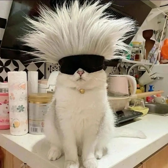 u客直谈实名认证王先生