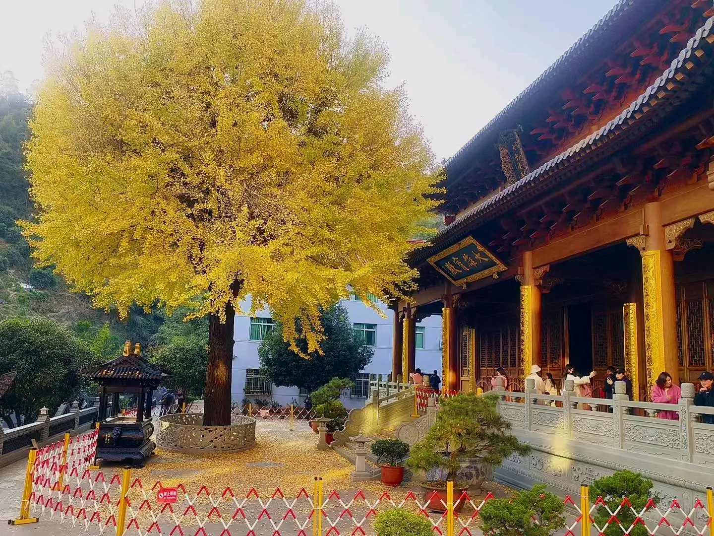 雷华斌推广团队