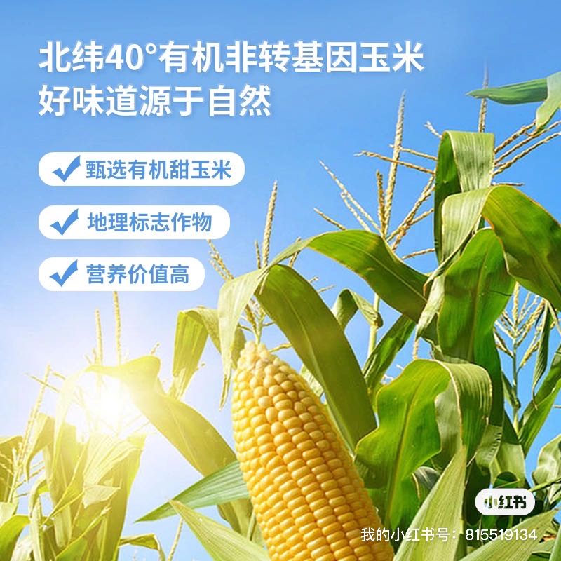 曹小乐品牌货源