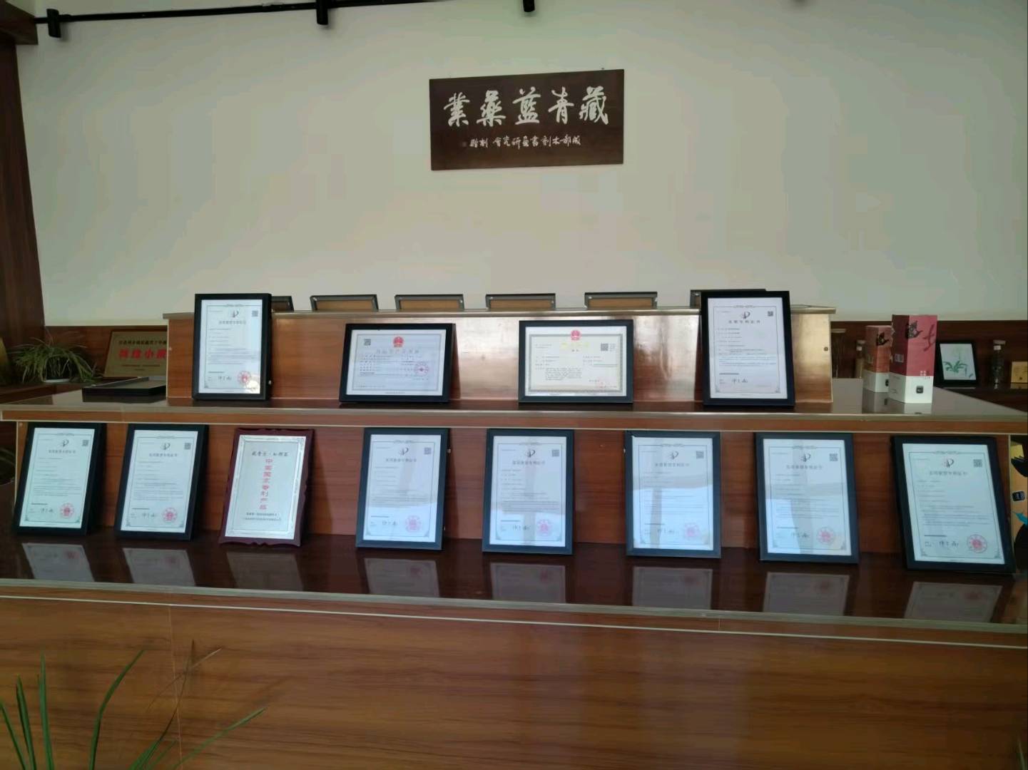 冉女士俄色叶藏药饮品 中老年稀缺爆品 厂家直批