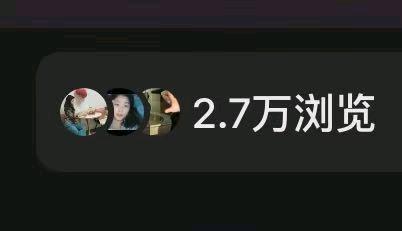杨楠找合伙人