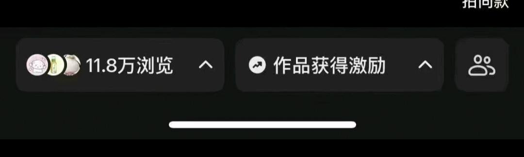 刘先生其他供需小说推文项目,网推方式进行小说内容推广,推广越多收益越多