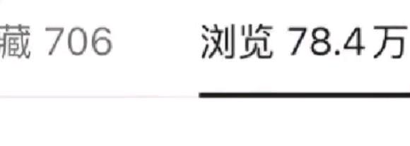 吴女士找合伙人