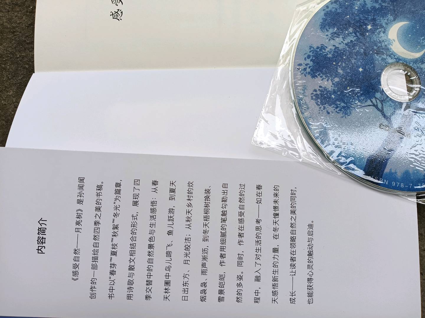 孙闻闻品牌货源新书批发