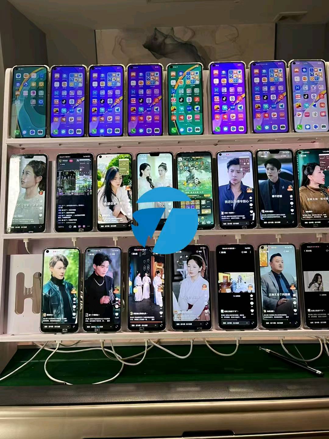 张先生其他供需