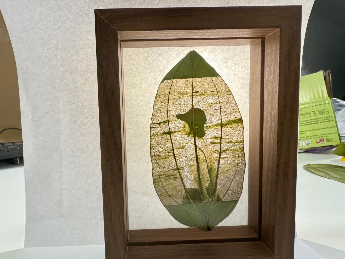 张先生品牌货源激光雕刻机叶雕机