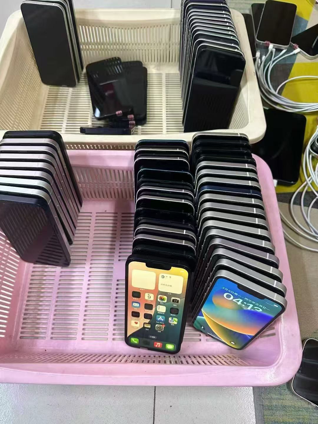 张女士其他供需