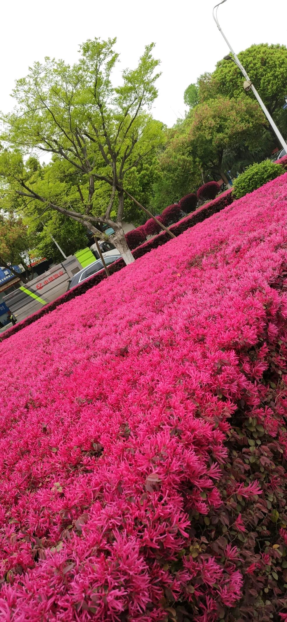 王怀城市屋顶绿化改造大项目找合伙人