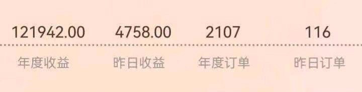 王先生地推项目