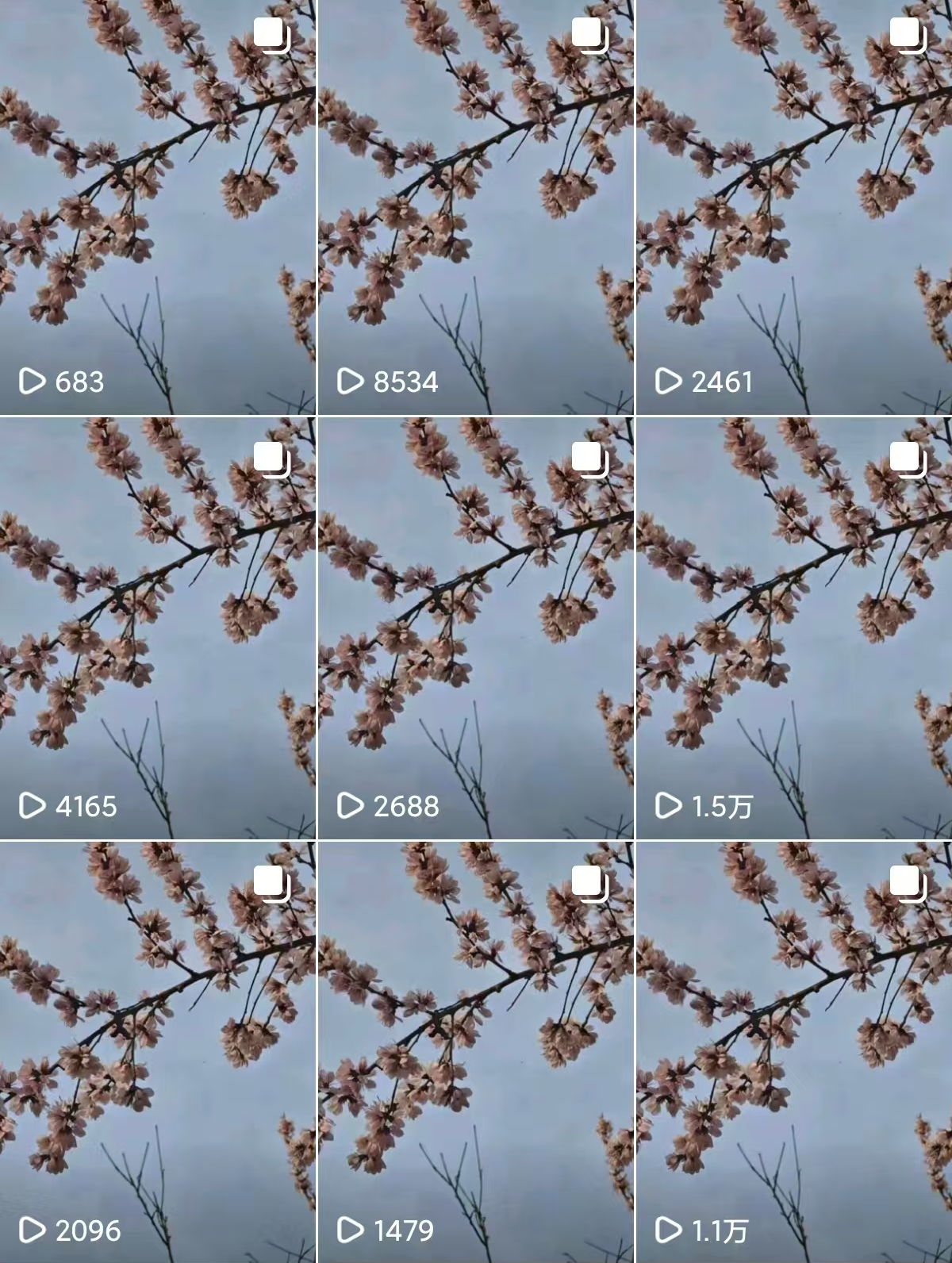 李女士其他供需小说推文*项目：0成本入门，矩阵放大收益，佣金日结稳定