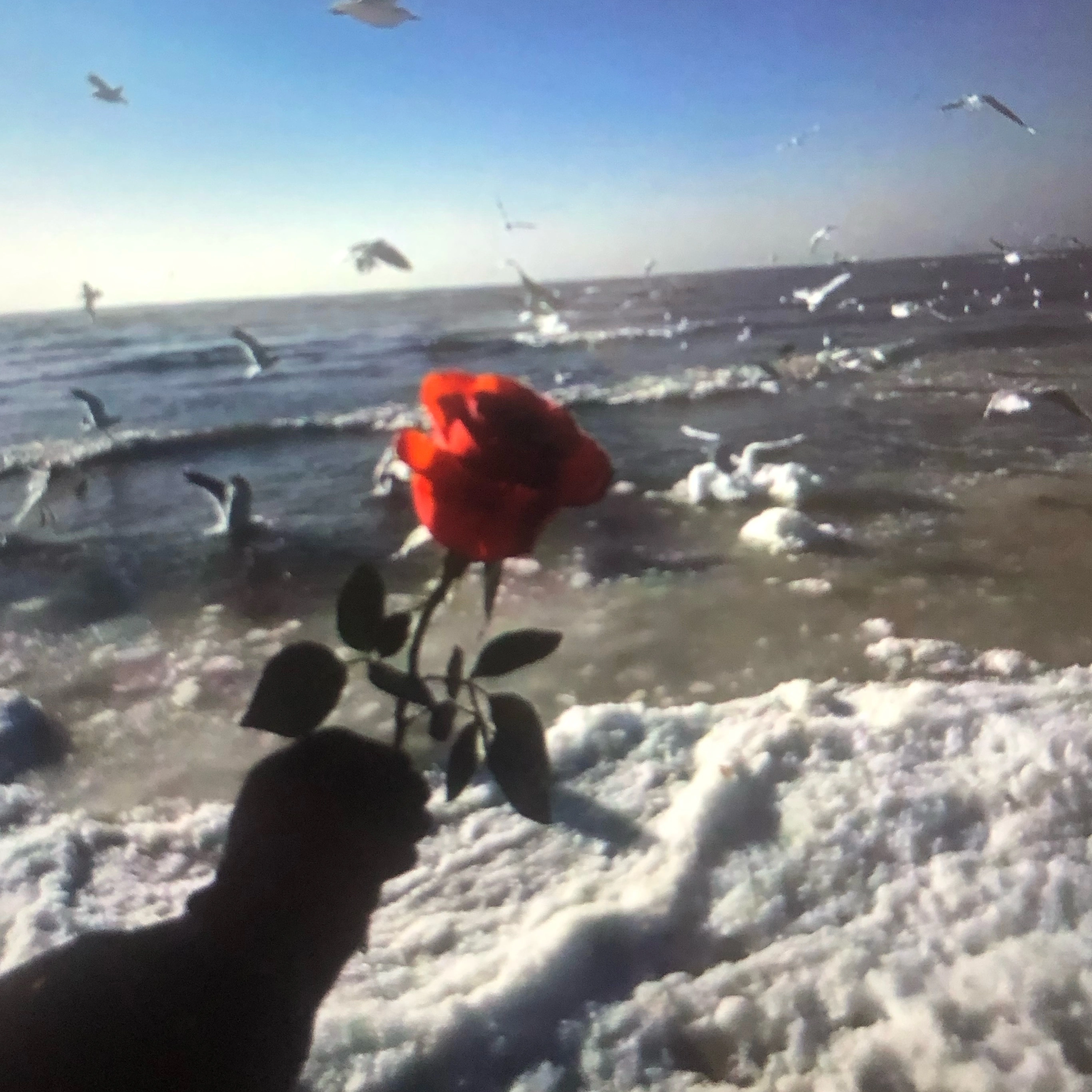 u客直谈实名认证张女士