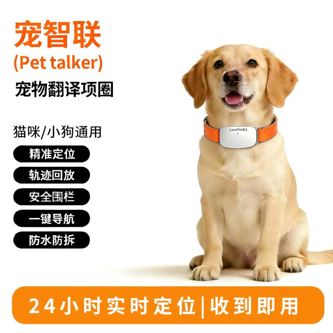 周先生地推项目智联智能项圈语言翻译器。