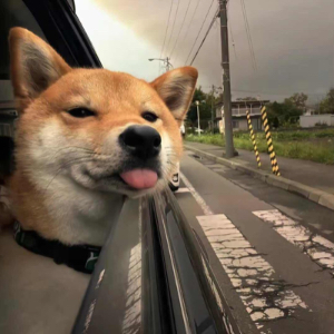 李智超