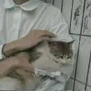 u客直谈实名认证徐奕添