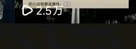 王女士其他供需