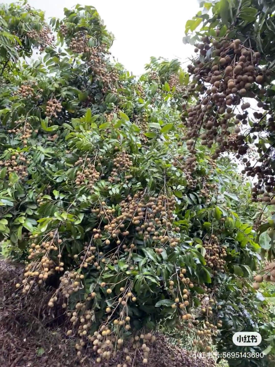 唐先生优质甲方