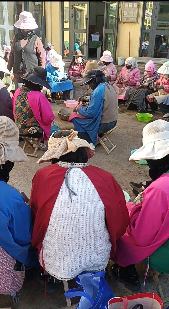 李先生品牌货源冬虫夏草专卖
