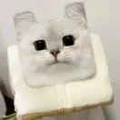 徐先生