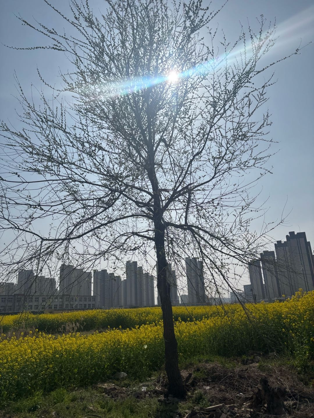 方泽其他供需日结App拉新项目，适合宝妈学生兼职，操作简单收益高