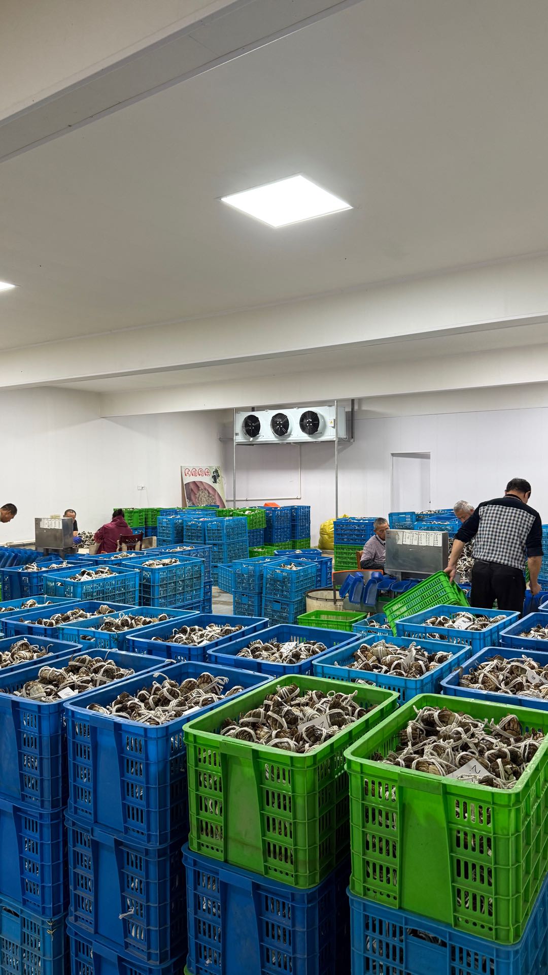 张昊学阳澄湖大闸蟹礼遇中秋国庆，多模式合作招商启动