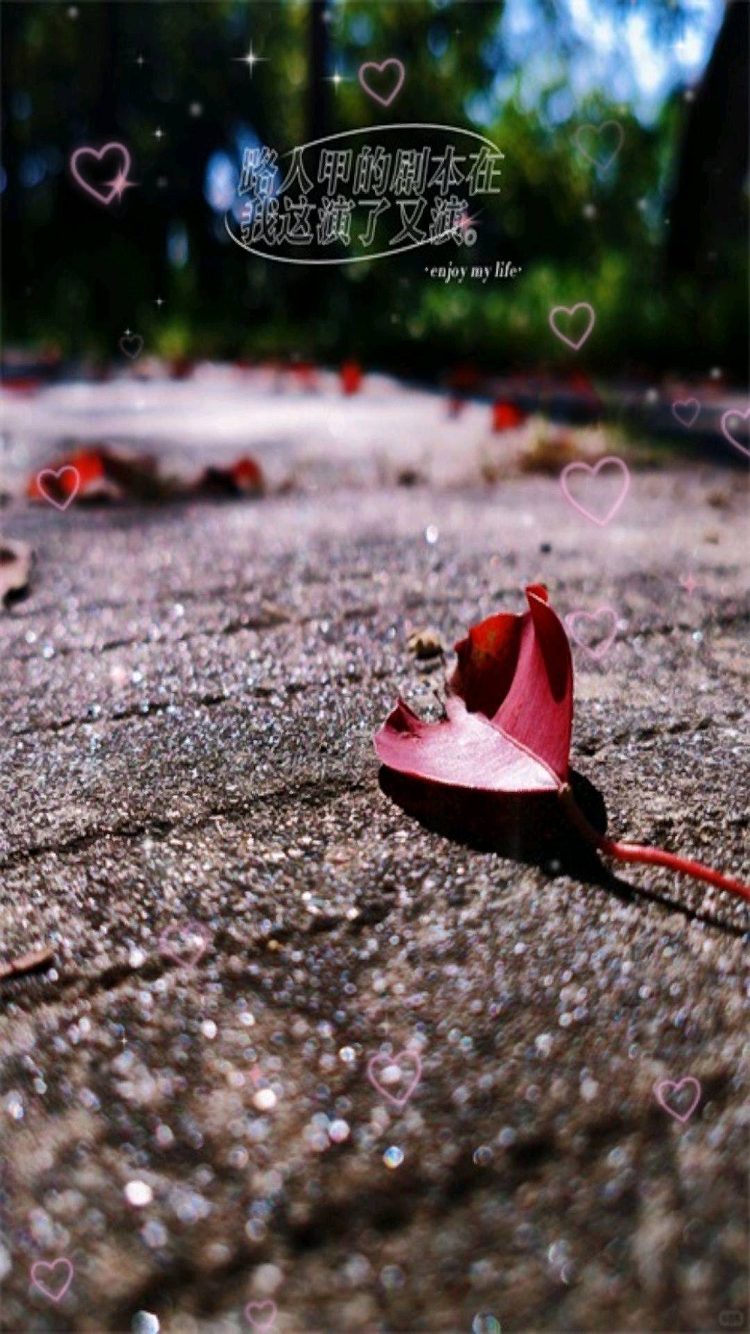 黄晓健推广团队看广一天*不收取任何费用，简单容易上手，个人团队欢迎洽谈了解