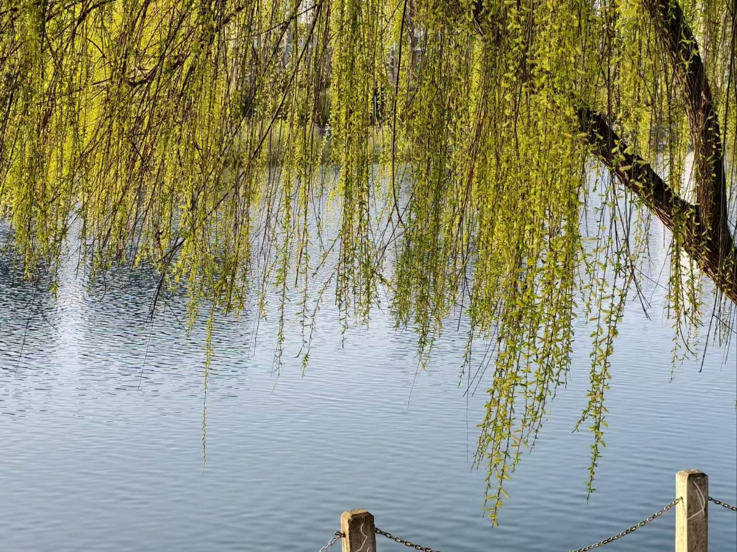 邱女士其他供需回收0成本创业项目，在家就能做，二级分佣*