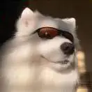 米先生