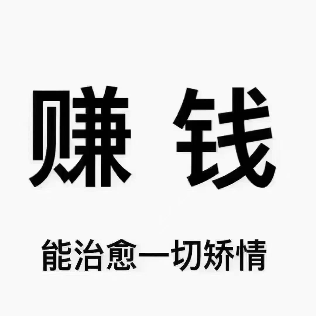 唐先生地推项目