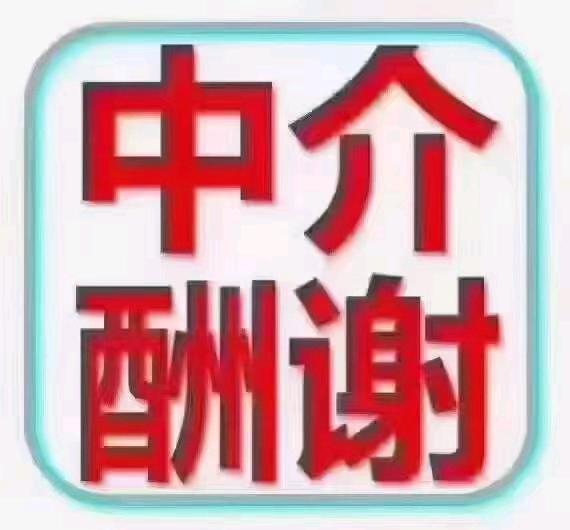 范先生品牌货源
